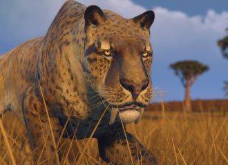 DevLog #25 - January 2020